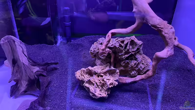 Einrichtungsphase  von Ottche (11)