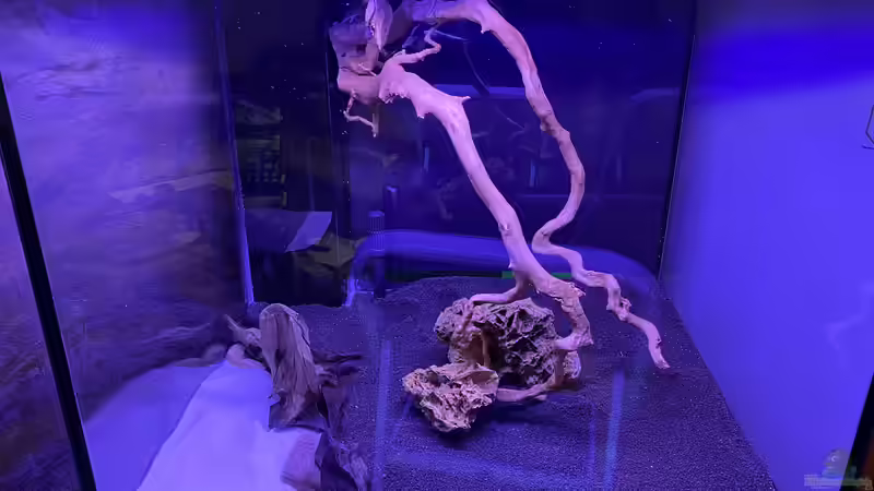 Einrichtungsphase  von Ottche (15)