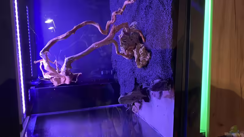 Einrichtungsphase  von Ottche (6)