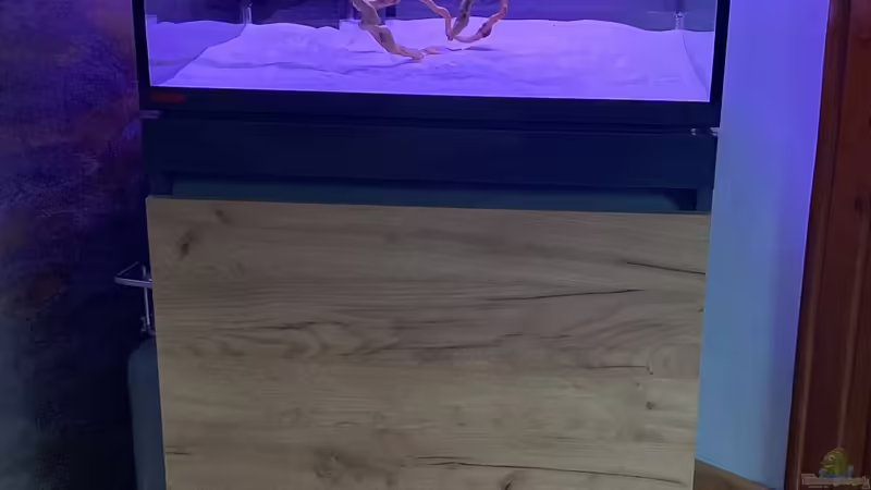 Einrichtungsphase  von Ottche (9)