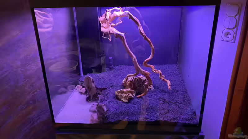 Einrichtungsphase von Ottche (5)