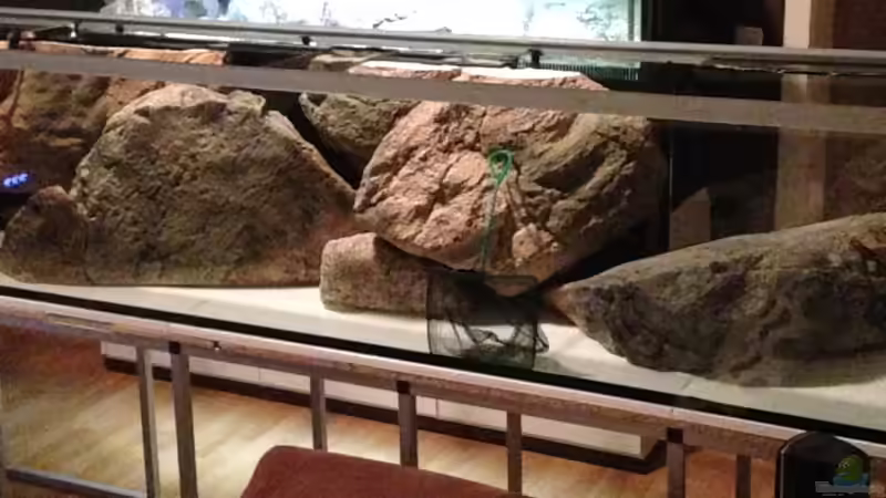 Einrichtungsphase von TheToxicAvenger (19)