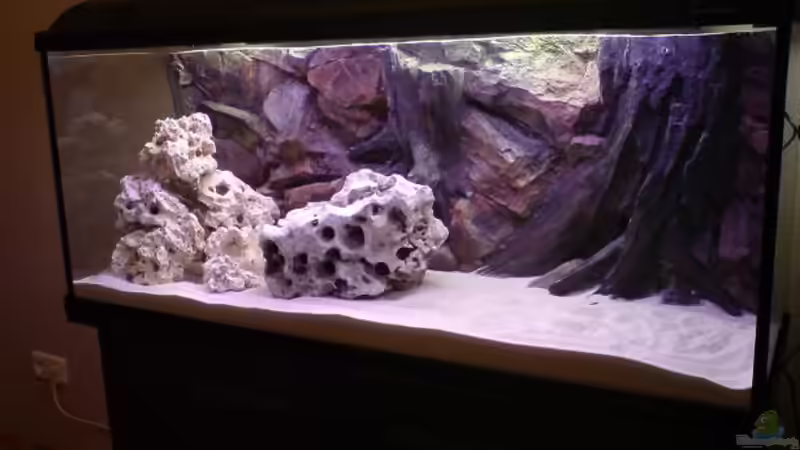 Einrichtungsprobe ohne Wasser von Alihsan Boeklers (8)