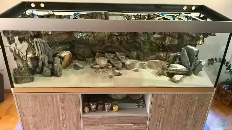 EInrichtungszustand vor der Wässerung von Steffi66 (24)