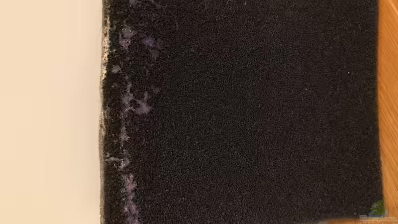 Einsatz von Filtermatten in Aquarium und Teich