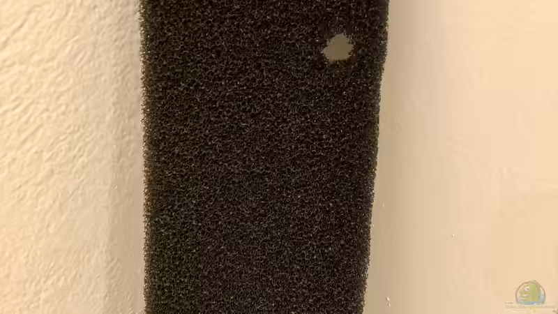 Einsatz von Filtermatten in Aquarium und Teich