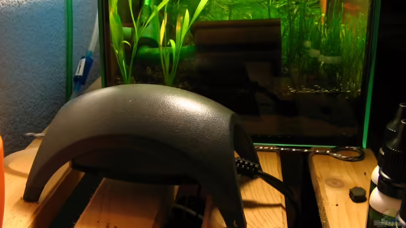 Einsatz von Luftpumpen in der Aquaristik