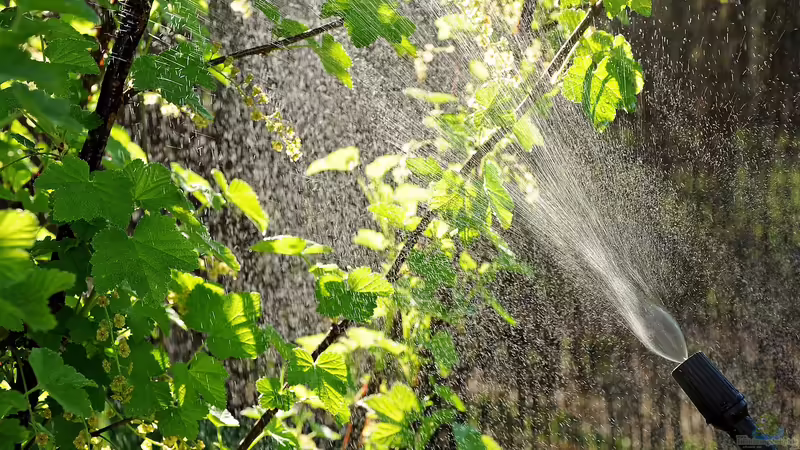 Einsatz von Pestiziden und Herbiziden minimieren