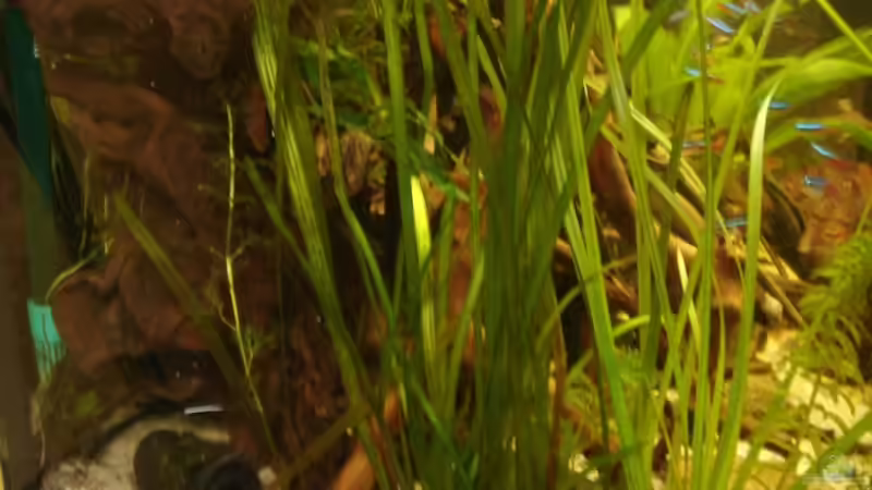 Einsicht durch die linke kurze Seite von ray-78 (3)