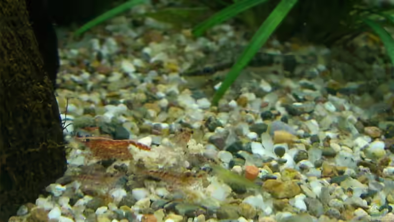 Einträchtiges Miteinander :) von KaSa (11)