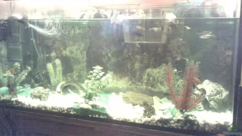 Einzelne Bilder folgen noch von Sammy1981 (2)