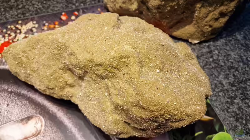 Einzigartig da mit Sand überzogen die Nachbildungen  von Florian Bandhauer (36)