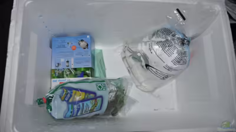 Einzug der neuen Bewohner von SirHawkman (28)