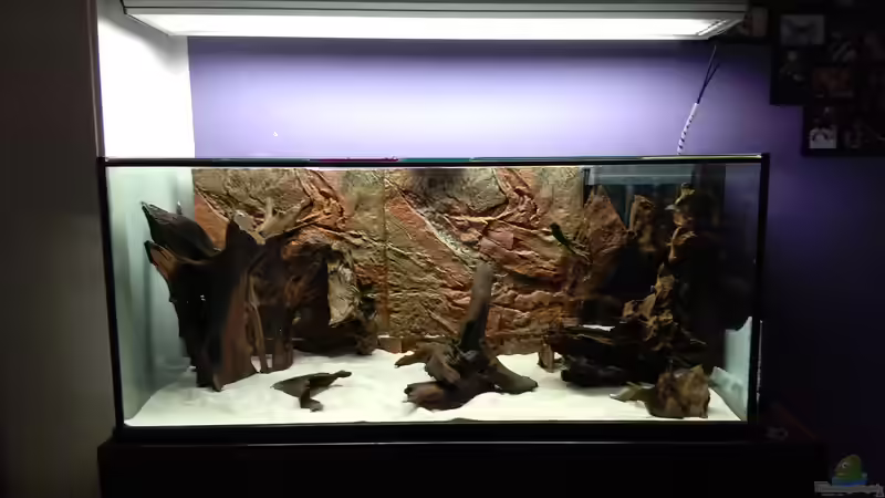 Einzug der Wurzeln von Kai Heermann (4)