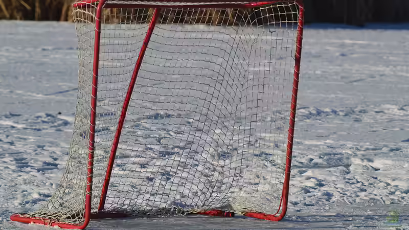 Eishockey im Garten - Tipps, Tricks und die perfekte Umsetzung