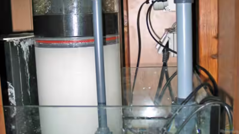 Eiweisabschäumer von Harald Schuster (9)