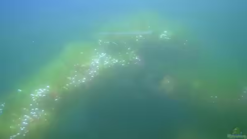 ekelhaft von tigger69 (10)