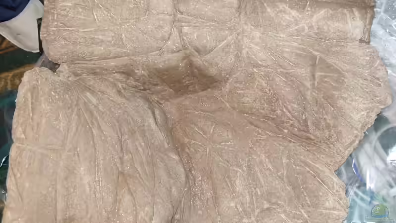 Element links farbig Schritt 7 von Alex Stark (10)