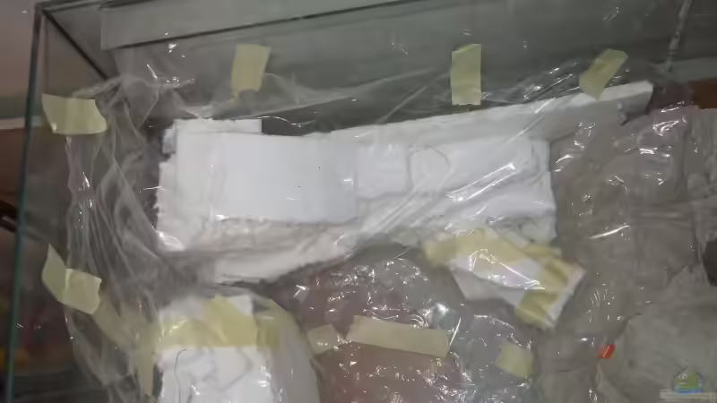 Element links Folie oben Schritt 1 von Alex Stark (5)