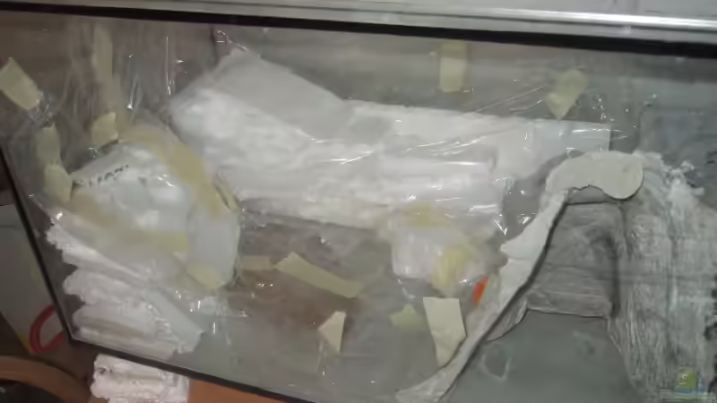 Element links Folie Schritt 1 von Alex Stark (4)