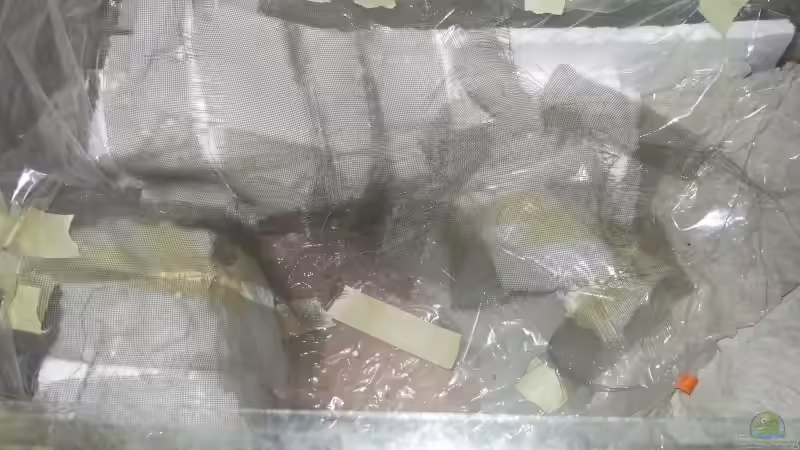 Element links Putzgitter Schritt 2 von Alex Stark (6)