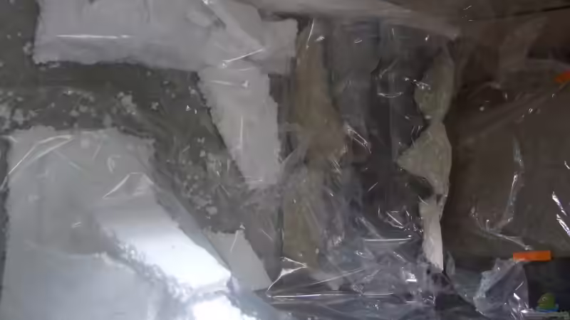 Element mitte und rechts Folie von Alex Stark (11)