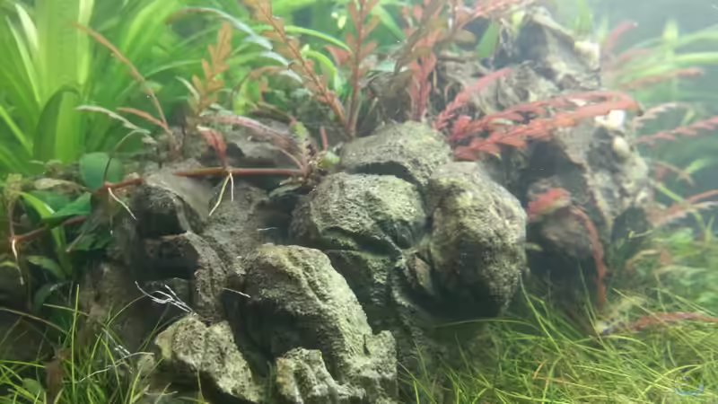 Elephanten Stone von Marcel Reiter (15)