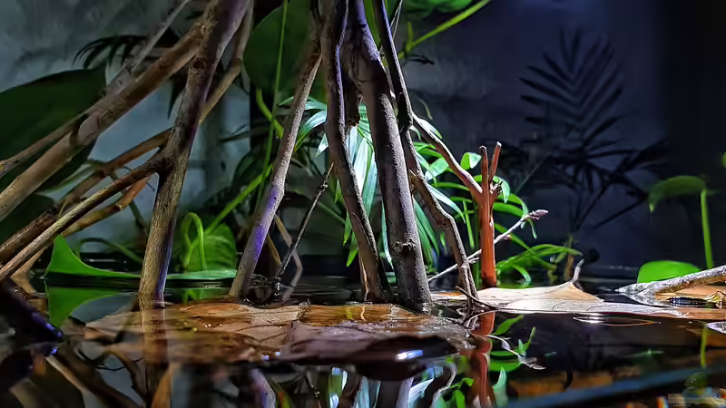 Emers Part von Aquawelten (4)