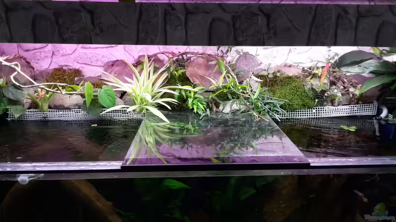 emerse Bepflanzung von Hightower208 (3)