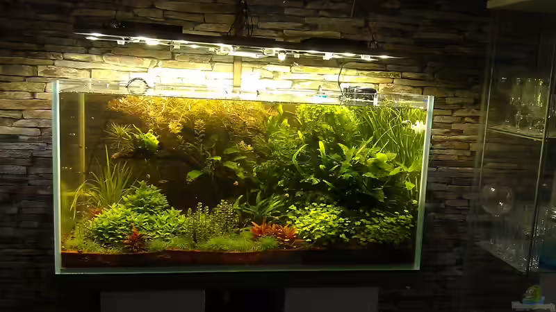 Ende Dezember, locker beschnitten von El Hein (6)