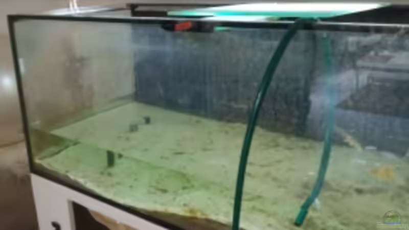 Ende eines Aquariums... RIP Mai 2012 von Schdäff (11)