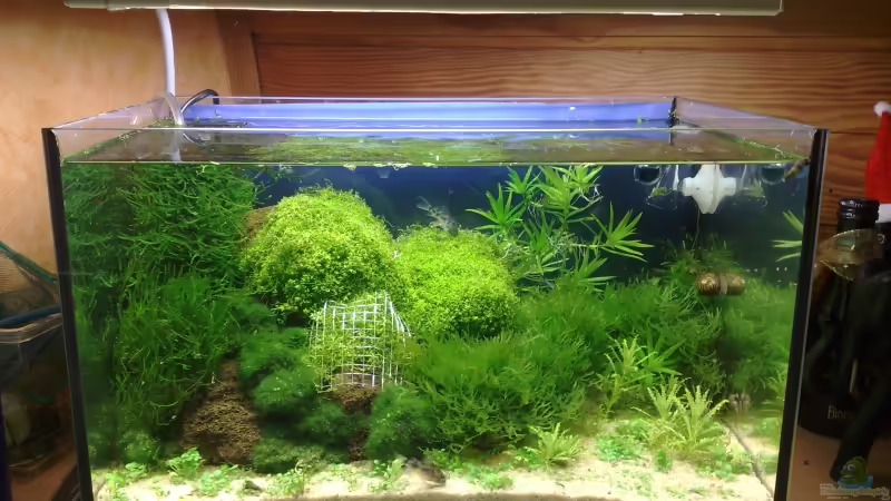 Ende Januar von Marc Joist (1)