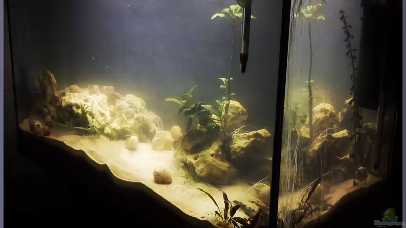 Ende November neu umgestaltet von TDG (4)