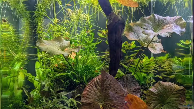 Ende Oktober von Tobes (6)