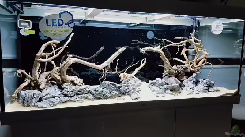 Ende Tag 1 Scape Aufbau. Wurzeln nur mal rein gestellt. Schön wars... von Köllebärbling (18)