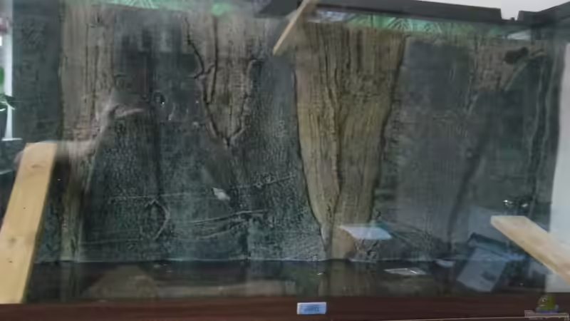 endgültige Montage von Ruppinho (8)