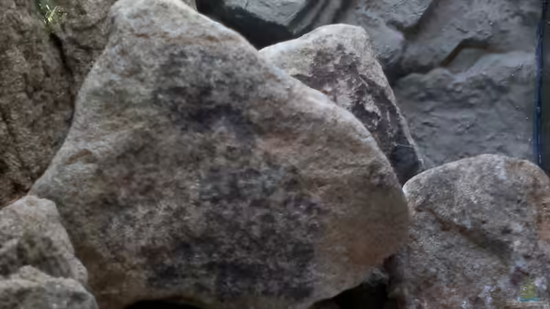 Endgültiger Steinaufbau noch ohne Sand und Wasser von Sambia (32)