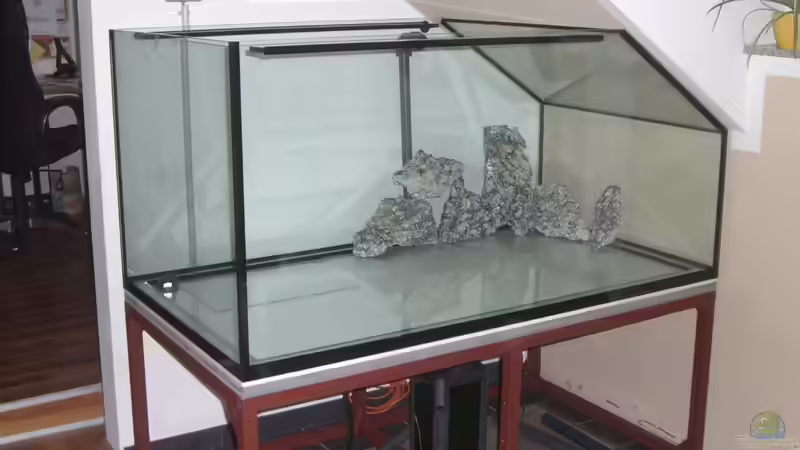 Endlich, das Becken ist da..... von Markus Maier (4)