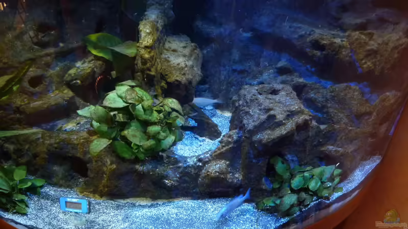 Endlich, es ist vollbracht von Couro (23)