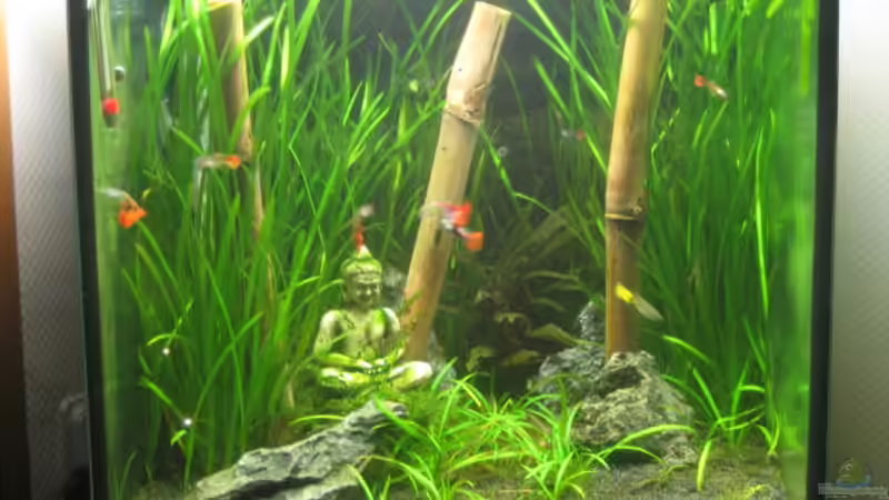 endlich alles gut und mit den ersten Bewohnern, April 09 von Marion Kulsch (3)