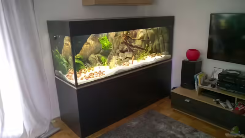 Endlich auch die Verkleidung fertig Stand 26.02.2014 von Trooper (2)