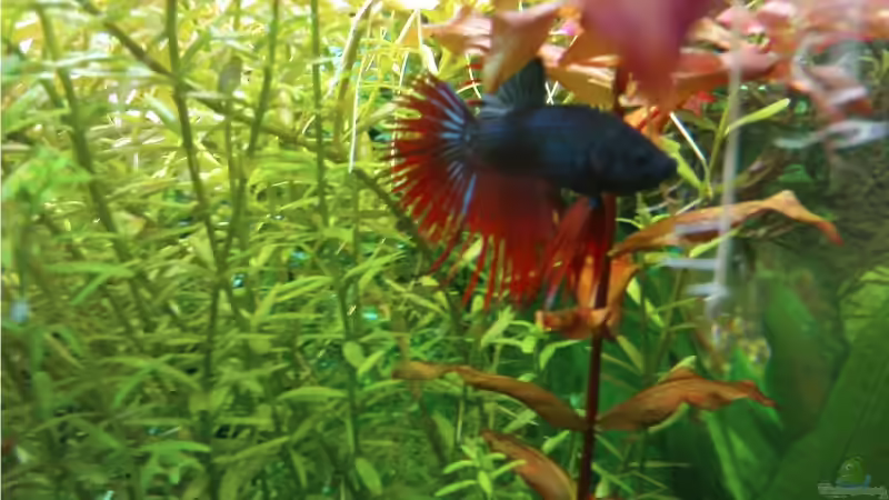 endlich ein brauchbares Foto von wasserspaß (20)