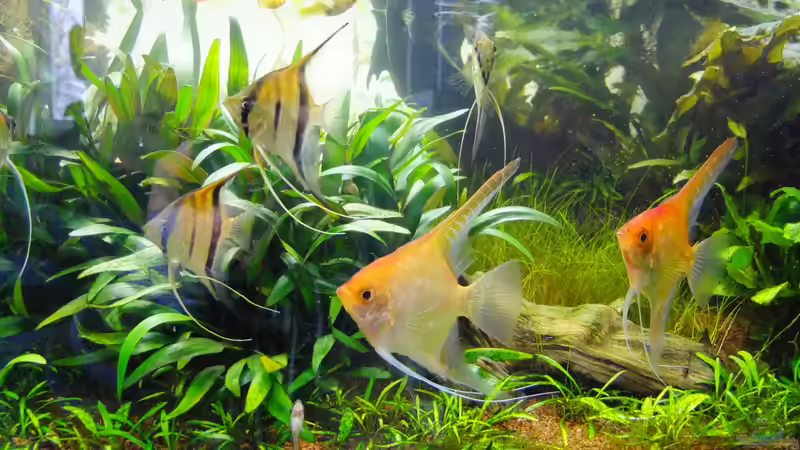 endlich frisches Wasser von ManiacXL (19)