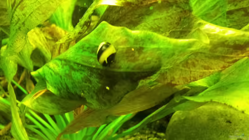 Endlich hält mal einer still fürs Foto! ;-) von Kathrin77 (53)