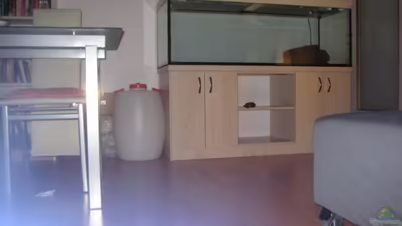 endlich ist das becken da!:) von Tiburón (2)