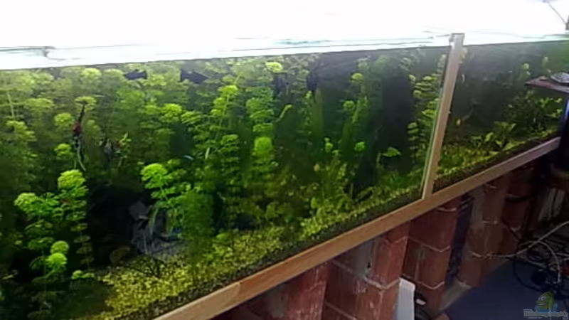 endlich ist mein becken fertig *G* :)) von Bastian Linsenmeier (1)