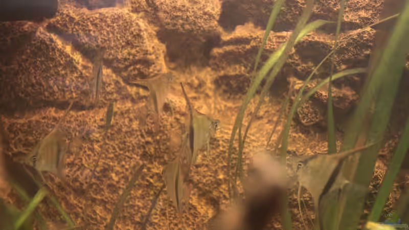 Endlich mal alle auf ein Bild bekommen:) von Maximilian Landrock (15)