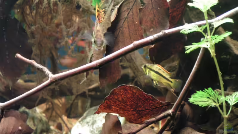 Endlich mal beide auf einem Foto (an der Qualität arbeite ich) von Peggy (28)