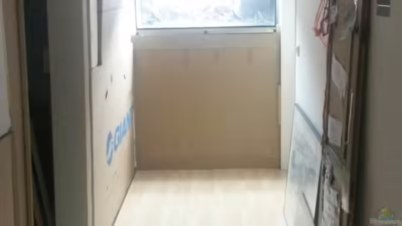 Endlich mal Licht vom Becken in der Galerie ... Geht leider nur mit zwei Leuchtstoffröhren. von Beulenkopftyp (9)