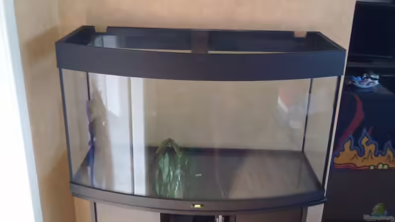 Endlich sauber =) von Koehler (3)